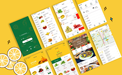 鄭州蔬菜app，蔬菜app制作的要點是什么呢
